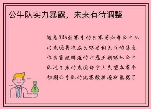 公牛队实力暴露，未来有待调整